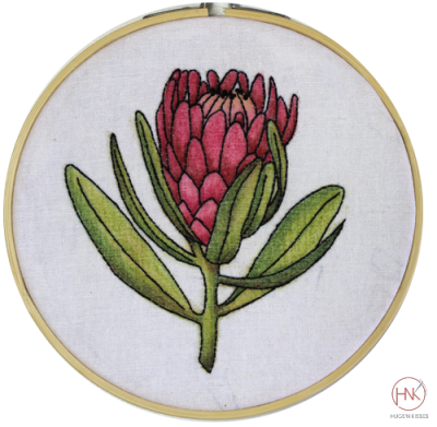 Colourque Botanicals - Protea