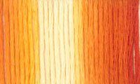 Presencia Finca Threads #16 thread #9110 Variegated copper orange
