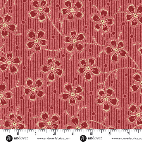 Dahlia (Dianthus-Cardinal) x 10