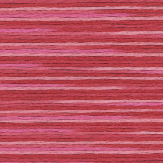 Cosmo Seasons variegated 5002