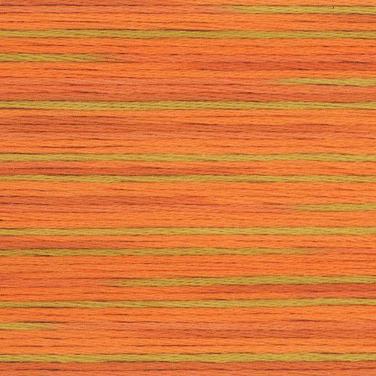 Cosmo Seasons variegated 5008