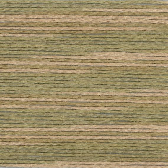 Cosmo Seasons variegated 5011